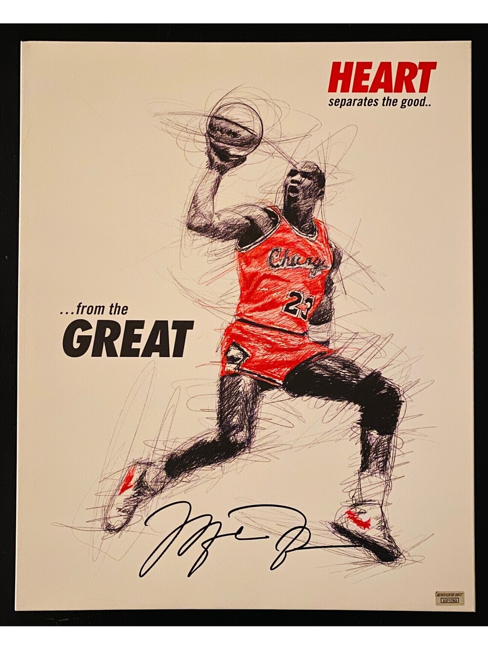 Michael Jordan Signed 20x16 Canvas With COA (2371783)